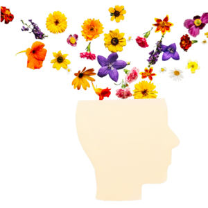 Liberate de la ansiedad