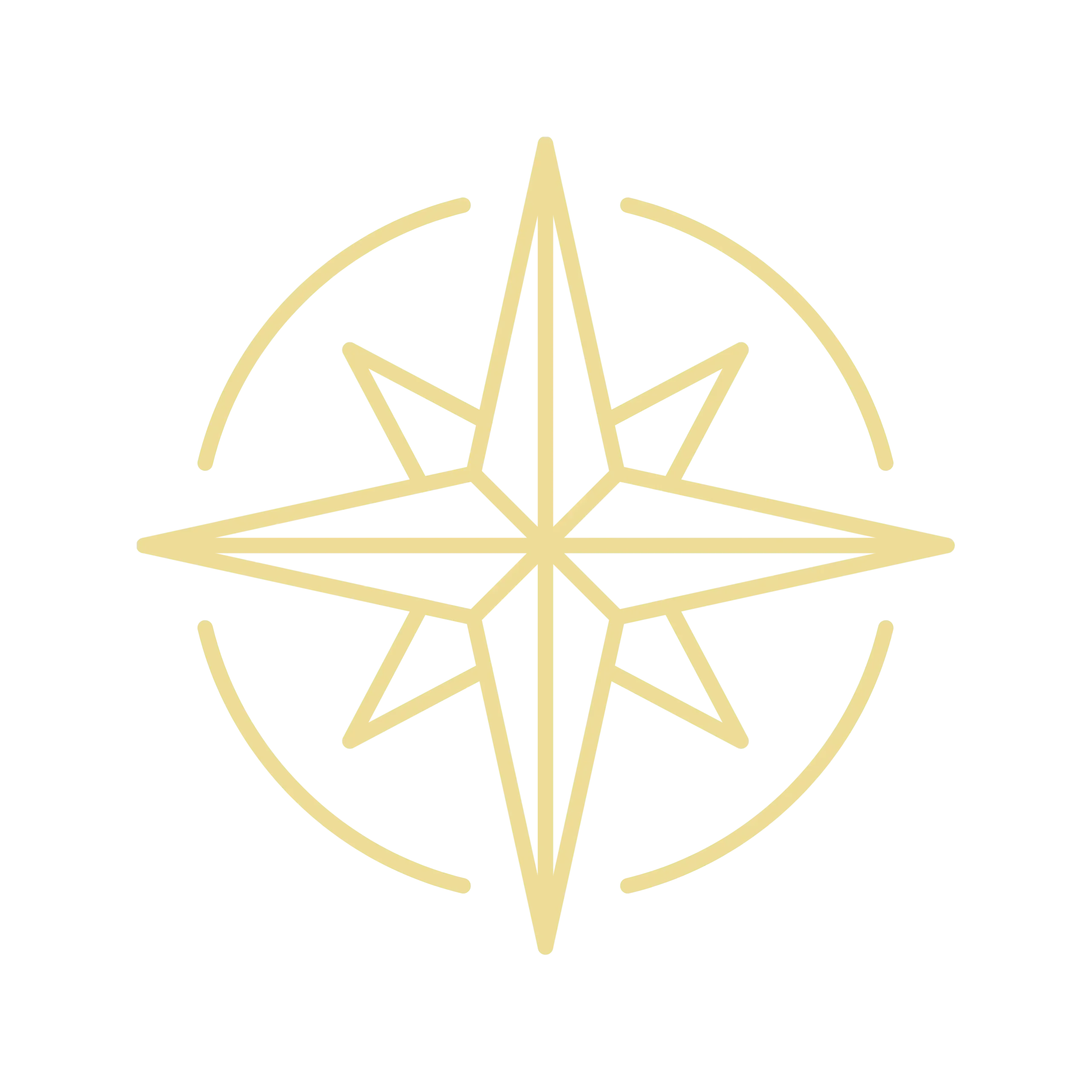 Icon portada