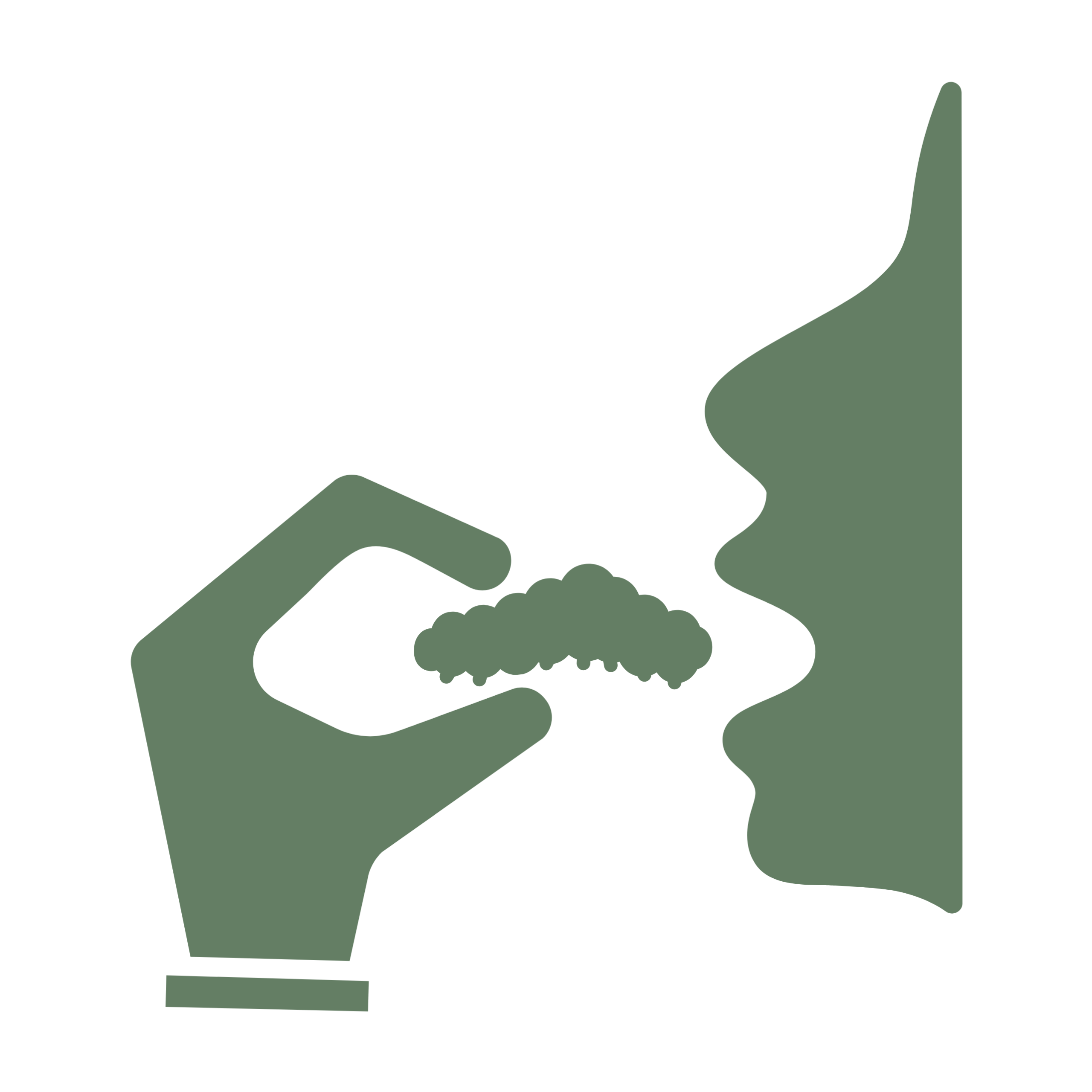 Icon portada 5